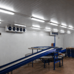 Industrial cold storage and conveyor system
